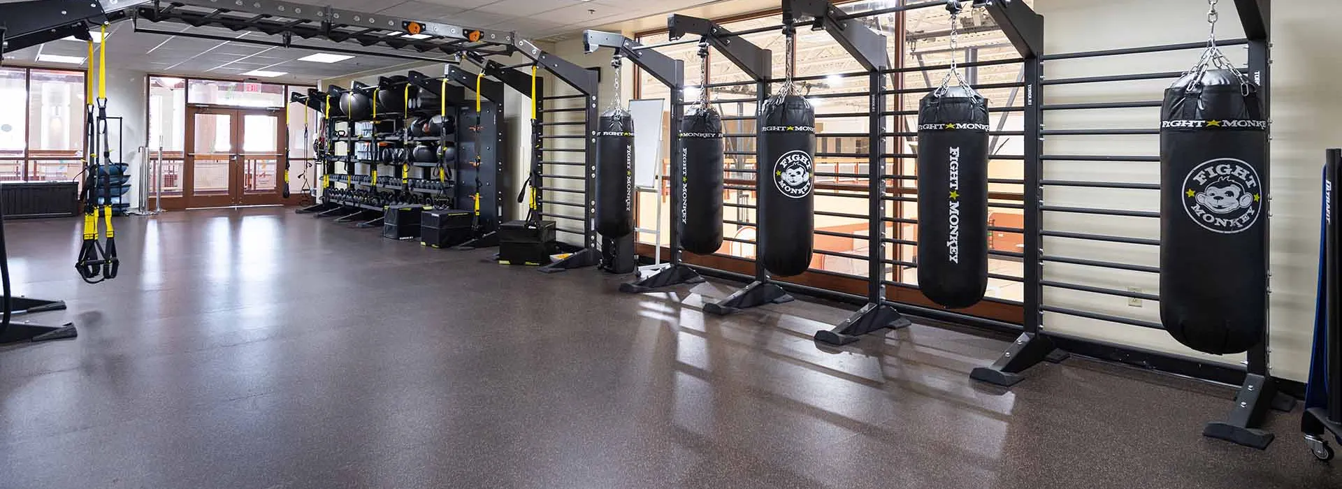 TRX and Boxing Equipment